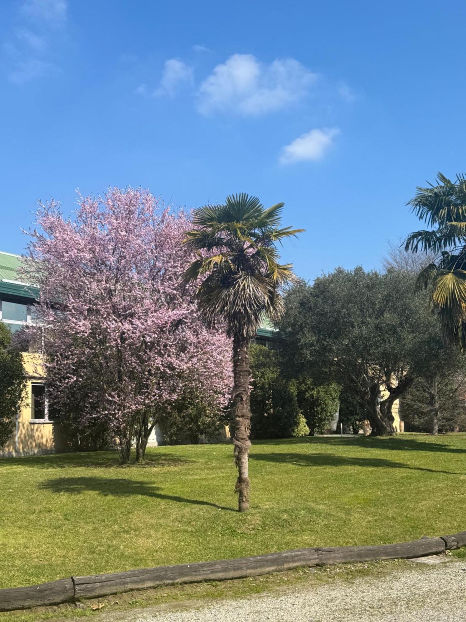 Parco Sassi 3* Turim